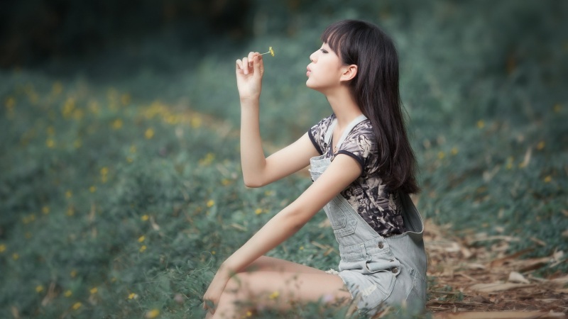 淡雅的图片 高清壁纸图片下载欣赏(淡雅的图片)(7)