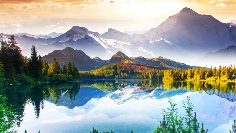 大自然风景图片 高清壁纸图片下载欣赏 自然森林小溪流水风景壁(大自然风景图片)(4)
