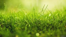 青色梦幻岛 高清壁纸图片下载欣赏(青色
