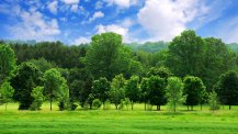 夏日的风景 高清壁纸图片下载(夏日的风